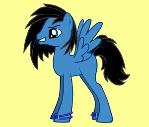 Kodiak Pony