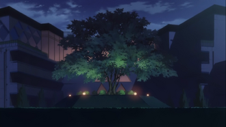 Brothers-Conflict-12-16