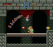 False Bowser