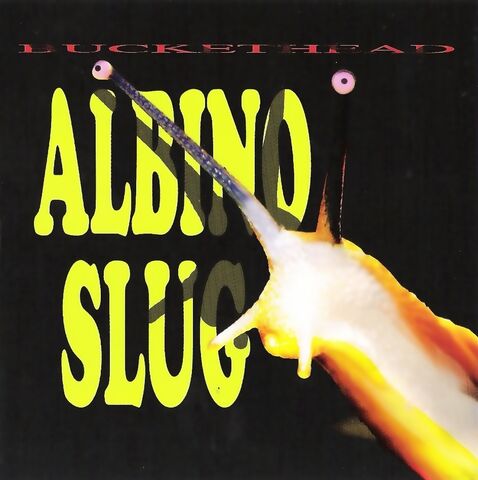 File:AlbinoSlug.jpg