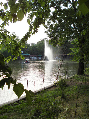Fișier:Lacul Cismigiu.jpg