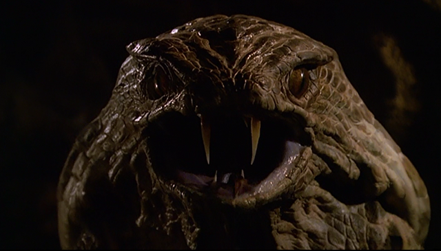 File:Head.png