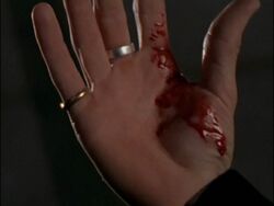 Blood