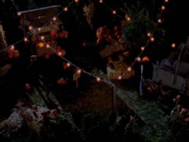 File:Pop's Pumpkin Patch overheard view.jpg