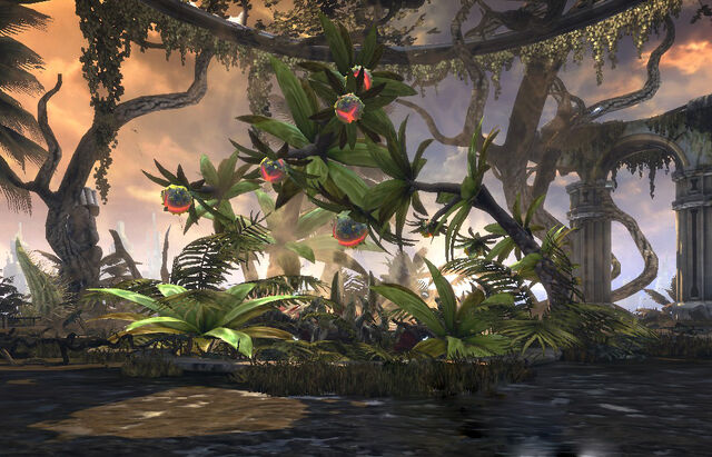 File:Flytrap.jpg