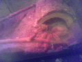 Thumbnail for version as of 12:06, July 24, 2011