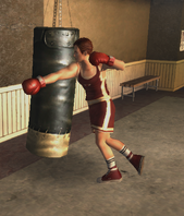 Bryce Montrose Boxing