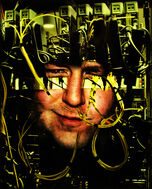 Sm steve