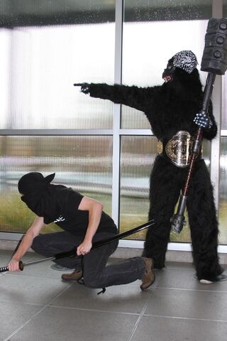 File:UnleashNinjas.jpg