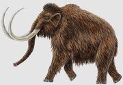 Mammoth.jpg