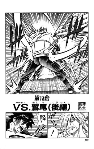 File:Chapter 13.jpg