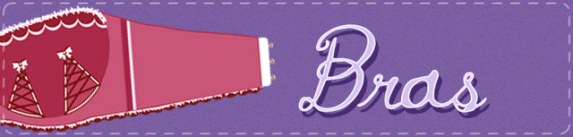 File:Category-image-bras.png