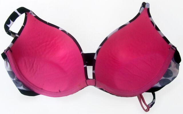 File:Pushup bra inside.jpg
