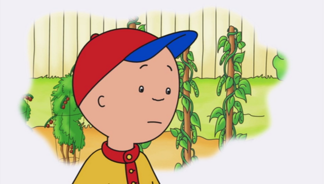 File:Caillou Screenshot 2015-06-01-17-54-37.png