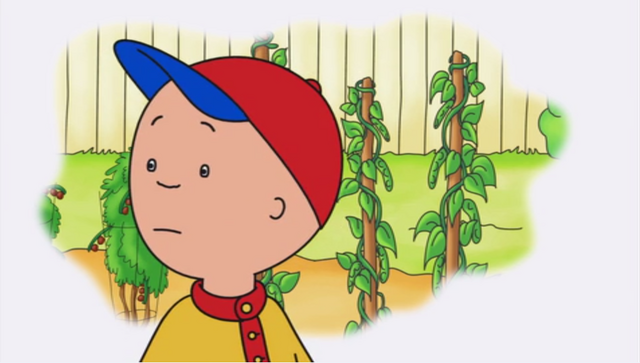 File:Caillou Screenshot 2015-06-01-17-54-49.png