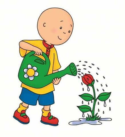 File:FB,103,81,pasta-resimleri-caillou-cicek-suluyor-pasta-resimleri.jpg