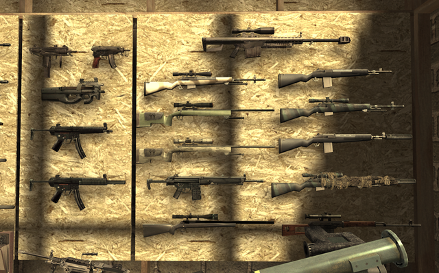 File:Gun Wall2 F.N.G. COD4.png