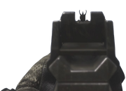 AK-12 iron sights CoDG