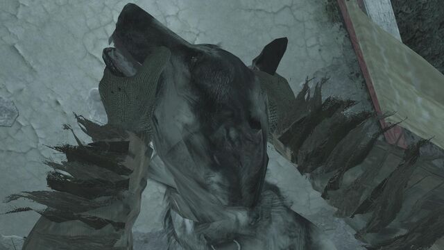 File:Breaking a Dog's neck.jpg