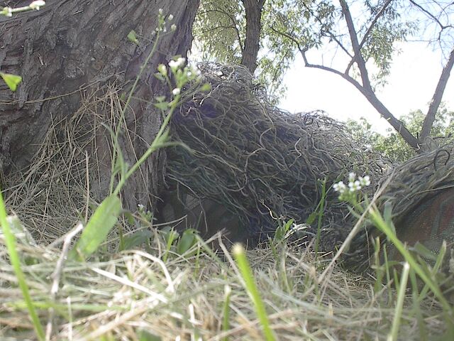 File:Darks-Ghillie.jpg