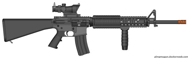 File:PMG My M16A4.jpg