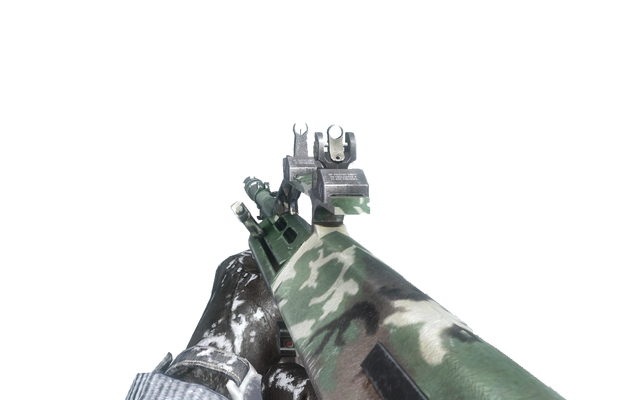 File:AUG Woodland BO.png