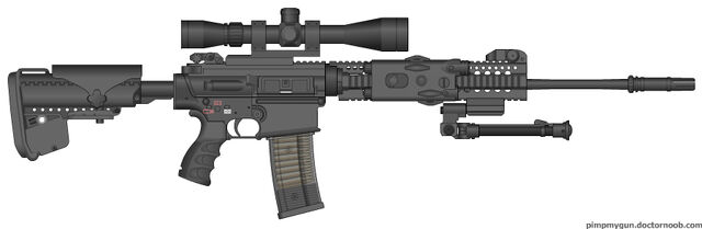 File:PMG AAMWS-9 DMR.jpg