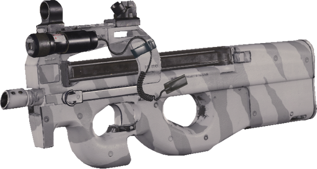 File:P90 Winter Tiger MWR.png