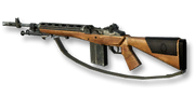 M14 Blops.