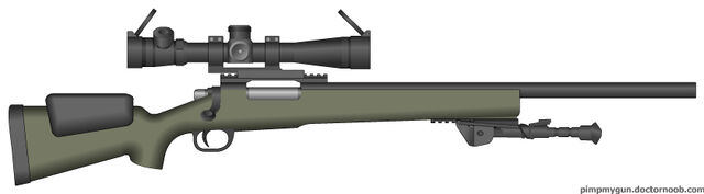 File:PMG Remington 700PPS.jpg