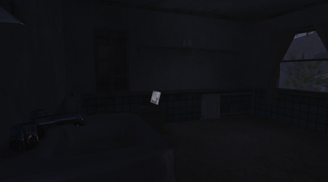File:Intel 2 Blackout CoD4.png