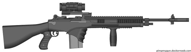 File:PMG Myweapon(m14a4).jpg