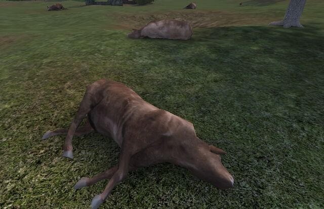 File:Dead Cows Brecourt CoD1.jpg