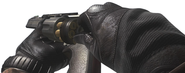 File:.44 Magnum Reloading CoDG.png