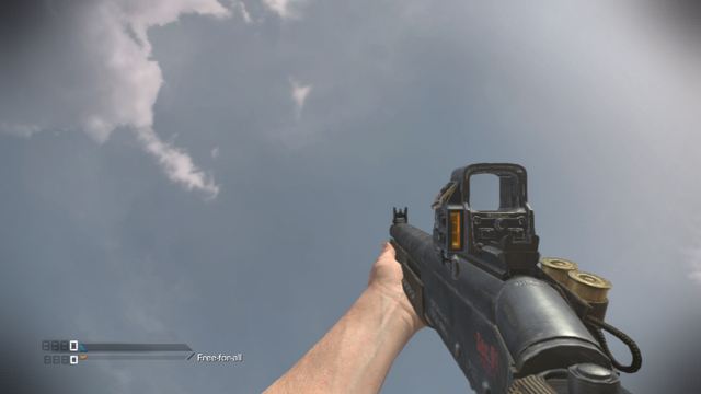 File:FP6 Holographic CoDG.png