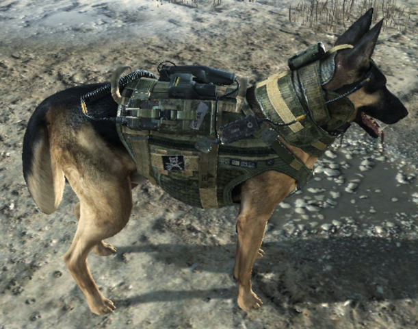 File:Guard Dog deployed CoDG.png