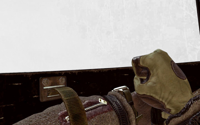 File:Riot Shield MW2.png