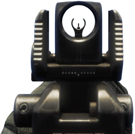 File:SA-805 iron sights CoDG.png