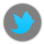 Arquivo:44px-Twitter icon.png