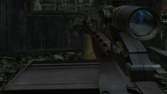 File:Scoped FG42 CoD3.png