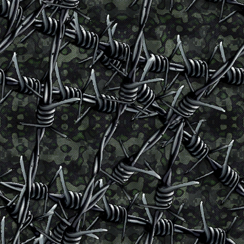 File:Hidden Camouflage 10 CoDG.png