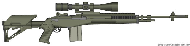 File:PMG My M14 EBR.jpg