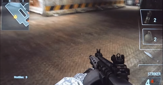 File:Striker First Person BOD.png