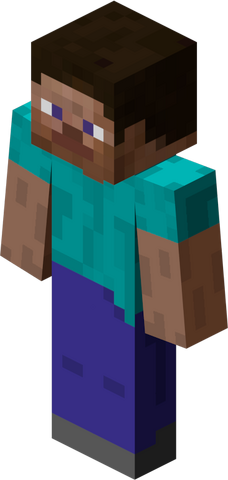 File:Minecraft Player.png