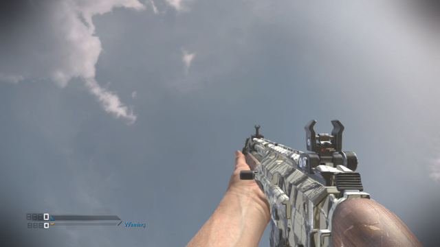 File:Maverick Snow CoDG.png