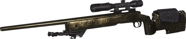 File:M40A3 Gold MWR.png