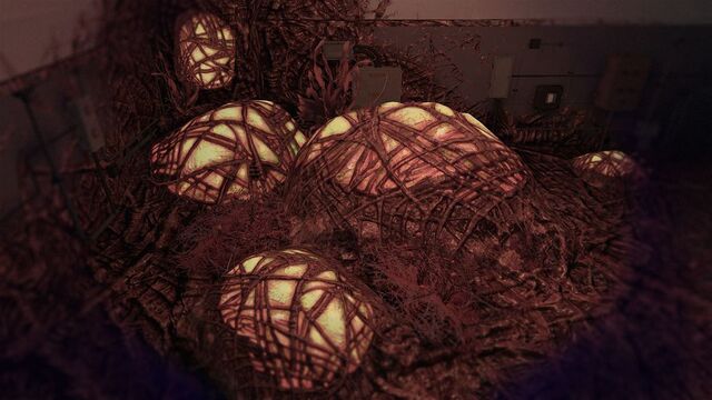 File:Egg-stra Devastation! CoDG.jpg