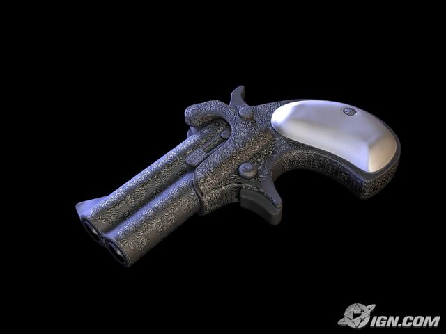 File:Ladies Gun.jpg