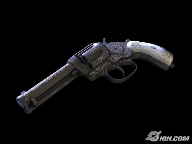 File:Border Gun.jpg