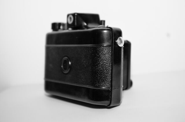 File:Pajtas 3.jpg